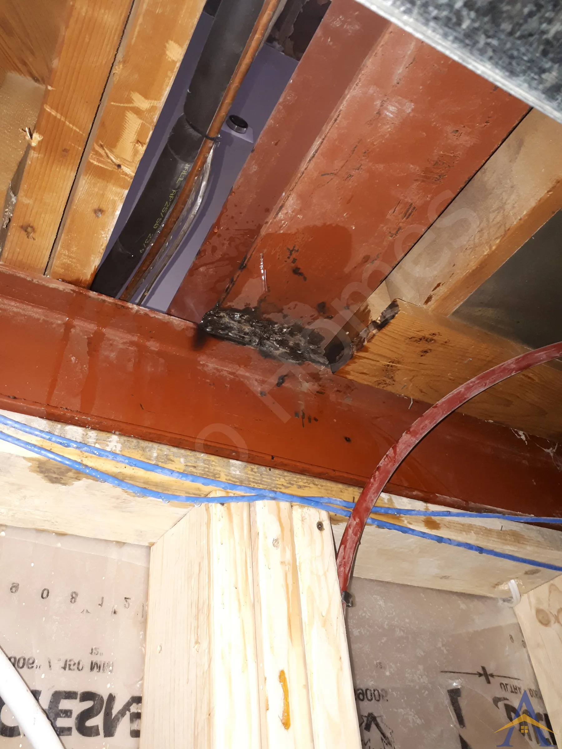 Bungalow Load-Bearing Wall Removal in Scarborough: Doerr, photo 7