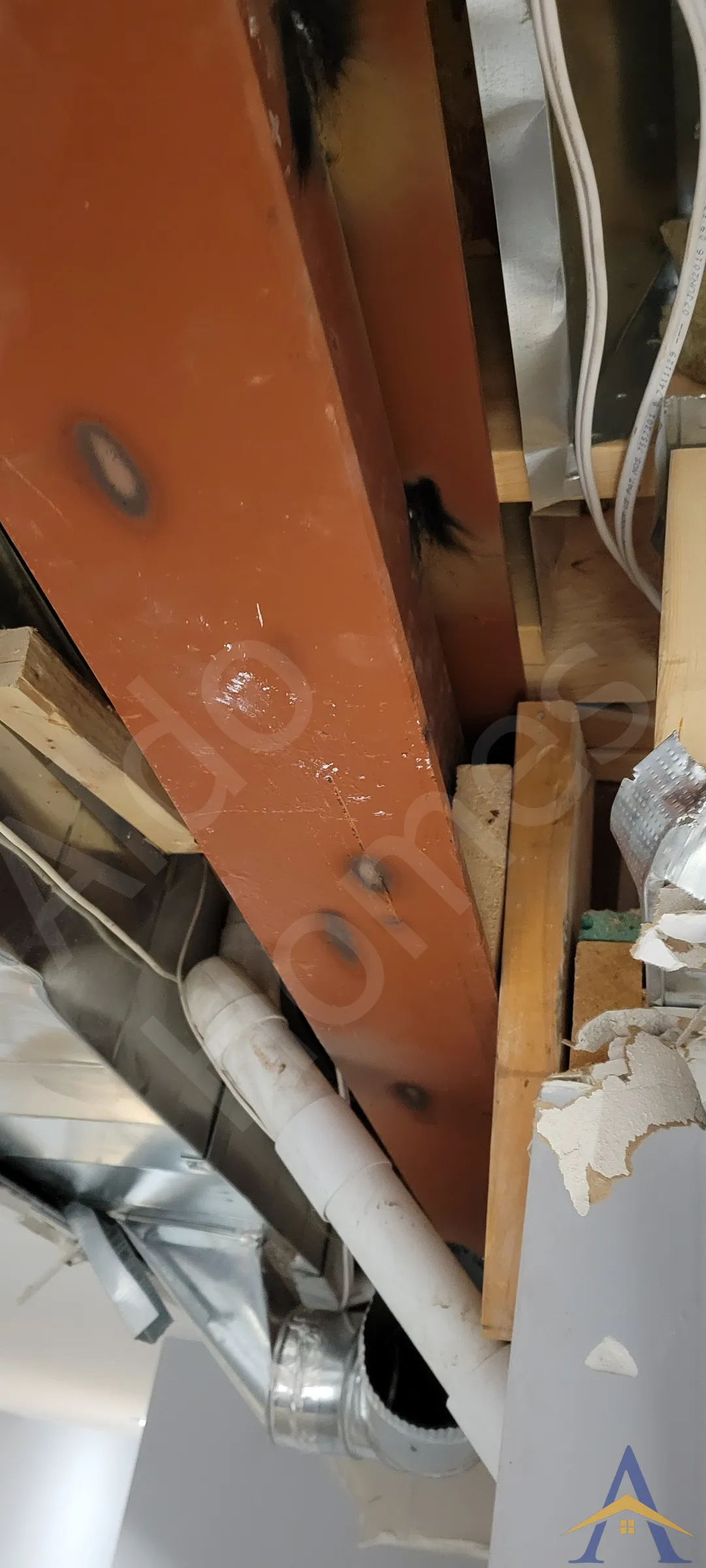 Load-Bearing Wall Removal in Whitby: Harkness, photo 2